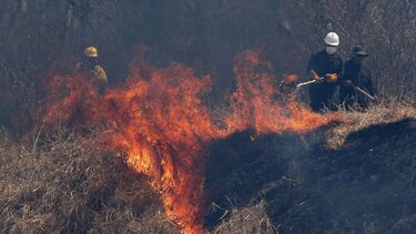 Βολιβία: Πυρκαγιές σε δασικές και αγροτικές εκτάσεις 