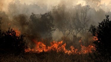 Μια προσαγωγή για εμπρησμό στην Τρίπολη