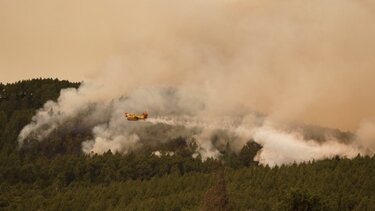 Πυρκαγιά στην Τενερίφη: Aπομακρύνθηκαν xιλιάδες άνθρωποι