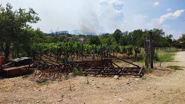 Έβρος: Καταγραφή και επιχορήγηση επιχειρήσεων-αγροτικών εκμεταλλεύσεων που επλήγησαν από τις πυρκαγιές