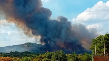 Φωτιά στον Έβρο: Μήνυμα από το 112 για εκκένωση στην Λευκίμμη