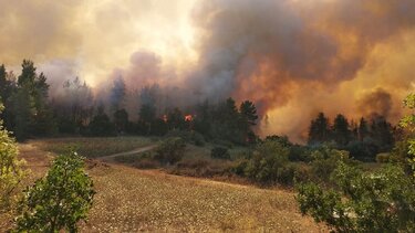 Φωτιά στην Ηλεία – Καίγεται δασική έκταση στην Πεύκη