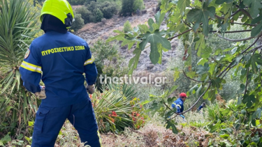 Ηλικιωμένος έπεσε σε γκρεμό 10 μέτρων