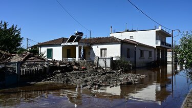  Αγαπηδάκη για Θεσσαλία: Δεν έχουμε έξαρση λεπτοσπείρωσης