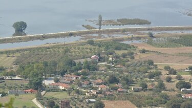 Θεσσαλία: Πέντε επιβεβαιωμένα κρούσματα λεπτοσπείρωσης, υπό διερεύνηση δεκαεπτά