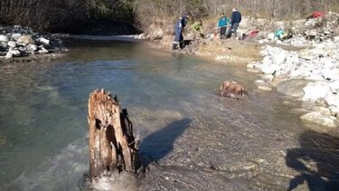 Μελέτη: Η ισχυρότερη ηλιακή καταιγίδα άφησε τα ίχνη της στους δακτυλίους των δέντρων