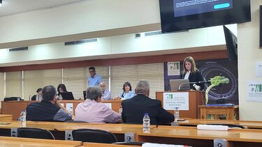 Σε φυτώρια, μόσχευμα ποικιλιών κρητικής ελιάς 