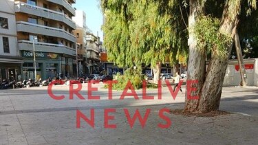 Πτώση μεγάλου κλαδιού στην πλατεία Ελευθερίας!