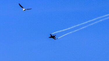 Χωρίς πτήση F-16 τελικά ανήμερα του Αγίου Μηνά! 