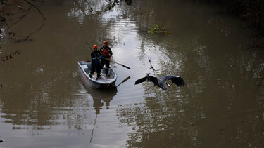 Πηνειός: Επιχείρηση της Πυροσβεστικής με πλωτό μέσο για τη διάσωση πτηνού