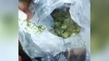 Διασωληνωμένη 16χρονη μετά από χρήση ουσιών - "Τη χρησιμοποιούσαν για να δοκιμάζουν κοκτέιλ ναρκωτικών"