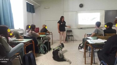 Στο Γυμνάσιο Τυλίσσου το πρόγραμμα "Ενσυναίσθηση και ζώα"
