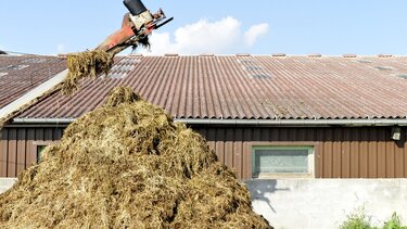 Ιάπωνες μηχανικοί ανέπτυξαν κινητήρα πυραύλου που λειτουργεί με κοπριά αγελάδων