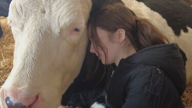 «Αισθάνεστε αγχωμένοι; Αγκαλιάστε μια αγελάδα» προτείνει φάρμα στην Αγγλία