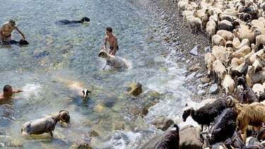 Νίκος Ψιλάκης: "Οι Κρήτες ζούσαν σε αρμονική συνύπαρξη με τον φυσικό κόσμο"