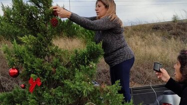 Έκλεψαν τα φωτάκια από τα στολισμένα δέντρα του Πολιτιστικού Συλλόγου Σίβας