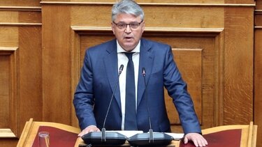 Δημήτρης Νατσιός: Tο 2024 θα είναι έτος οικογένειας