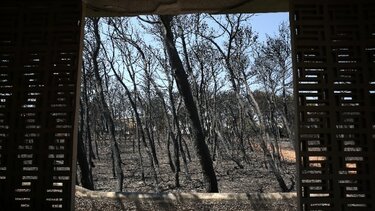 Δίκη για το Μάτι: Στις 29 Απριλίου η απόφαση του δικαστηρίου