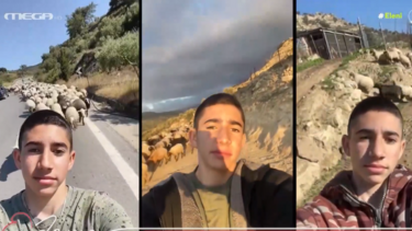 Viral στο TikTok ο νεαρός κτηνοτρόφος από το Ζαρό