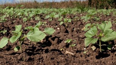 Αγρότες: Συμμαχία Μεσογειακών χωρών απέναντι στην κλιματική κρίση - Οι 4 πυλώνες