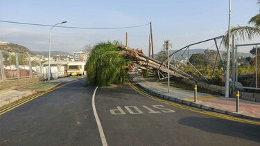  Σοβαρές ζημιές από ανεμοστρόβιλους στη Λεμεσό - Ακρωτηριάστηκε στα δάκτυλα ένας άνδρας