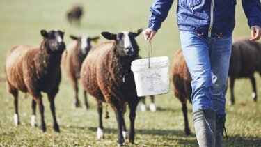 "Μπαρούτι" μεταξύ οικογενειών κτηνοτρόφων: Απειλές, σφαίρες και καταγγελία απόπειρας δολοφονίας κατά συρροή