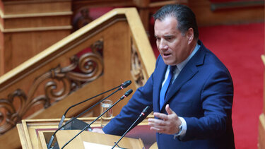 Άδωνις Γεωργιάδης στην Ελένη Βατσινά: Δεν κλείνει το ΚΕΘΕΑ!