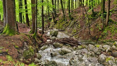 Ηλικιωμένος έπεσε σε ρεματιά και απεγκλωβίστηκε μετά από… δύο ημέρες