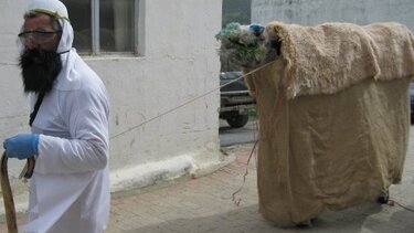 Ο Σκινιάς γιορτάζει τις Απόκριες με ένα πλούσιο πρόγραμμα εκδηλώσεων