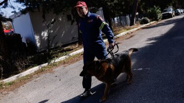 Ετοιμότητα για πολλά... Ρίχτερ στην Κρήτη: Στο πόδι σχολεία, αεροδρόμια, νοσοκομεία!