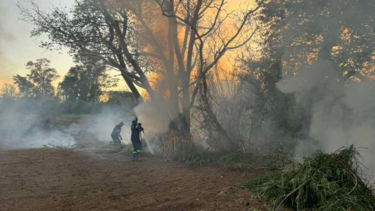 Χανιά: Υπό έλεγχο η φωτιά στον Λυγιδέ