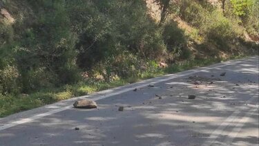 Μητέρα και παιδί τραυματίστηκαν μετά από κατολίσθηση στα Τοπόλια
