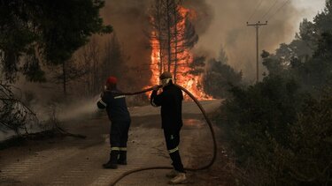 Ξεκίνησε η αντιπυρική περίοδος στην Κρήτη: Πρόστιμα, συλλήψεις και αυξημένες περιπολίες