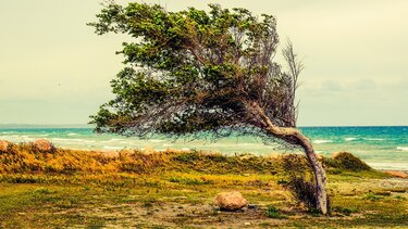 Νοτιοδυτικοί άνεμοι εως 7 μποφόρ αύριο στην Κρήτη