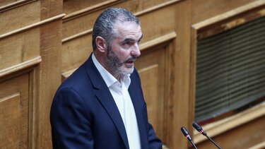 Μ.Χνάρης: Συνεχίζεται ο εμπαιγμός των πυρόπληκτων σε Λάμπη και Ροδάκινο