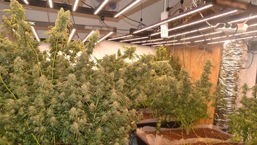 Hi-tech χασισο-βίλα: Στη φυλακή ο μεγάλος αδερφός, ελεύθερος με όρους ο μικρός