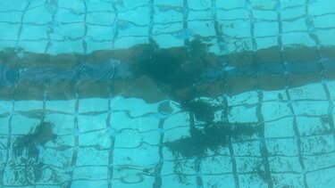 Διαμαρτυρίες και αγανάκτηση για την εικόνα του κολυμβητηρίου