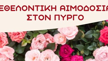 Εθελοντική Αιμοδοσία στον Πύργο