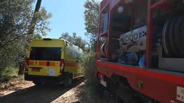 Με εγκαύματα 63χρονος που προσπαθούσε να σβήσει φωτιά σε χωριό της Λαμίας