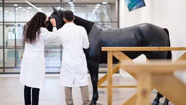 Ανοίγει τις πύλες της η υπερσύγχρονη Κτηνιατρική Σχολή του Ευρωπαϊκού Πανεπιστήμιου Κύπρου