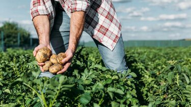 Έλλειψη εργατικών χεριών: Μία ανάσα πριν τη διακρατική συμφωνία με την Ινδία