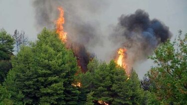 Συνεχίζεται η μάχη με τις φλόγες στην Ηλεία - Σε ύφεση οι πυρκαγιές σε Μεγαλόπολη και Κρανίδι