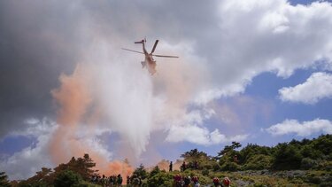  Σε ύφεση και χωρίς ενεργό μέτωπο η πυρκαγιά στη Βάρης-Κορωπίου - Διάσπαρτες εστίες στην Αργολίδα 