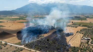 Πυρκαγιά στο νότιο σημείο της Ελάτειας κοντά σε σπίτια - Δείτε βίντεο