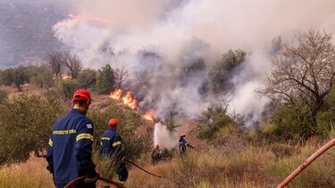  Πυροσβέστες προς ηγεσία του σώματος: "Μην παίζετε με τις ζωές μας" 