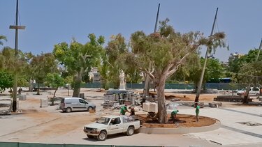 Χωρίς συντριβάνι αλλά με 13.000 φυτά η «νέα» πλατεία Ελευθερίας (video)