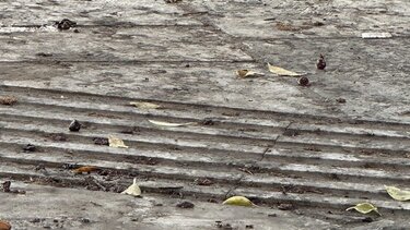 H πλατεία Κορνάρου χρειάζεται άμεση παρέμβαση για τον καθαρισμό της