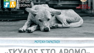Μουσική παράσταση «Σκύλος στο Δρόμο»