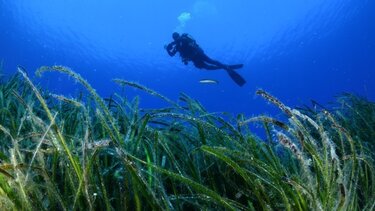 Πάτρα: Άκαρπες οι έρευνες για τον 27χρονο που είχε πάει για υποβρύχιο ψάρεμα