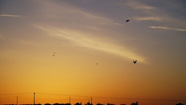 Μια ρομαντική καλοκαιρινή ανατολή